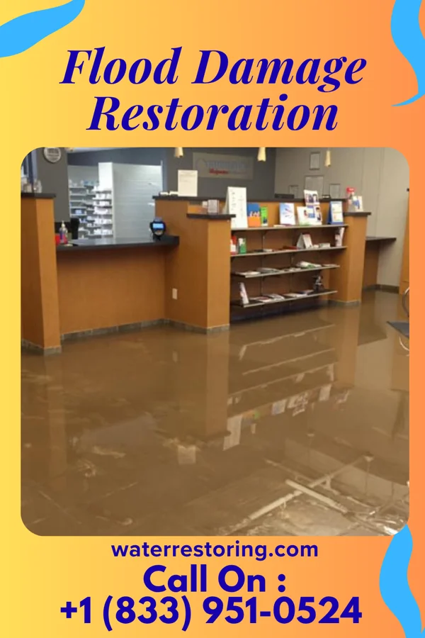 Flood Damage Restoration in Shadybrook, TX