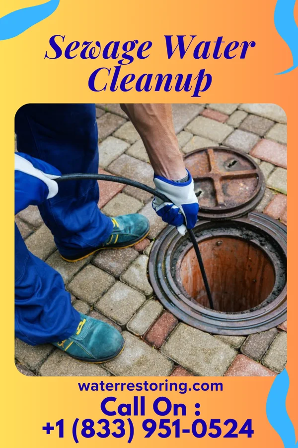 Sewage Water Cleanup in Shadybrook, TX