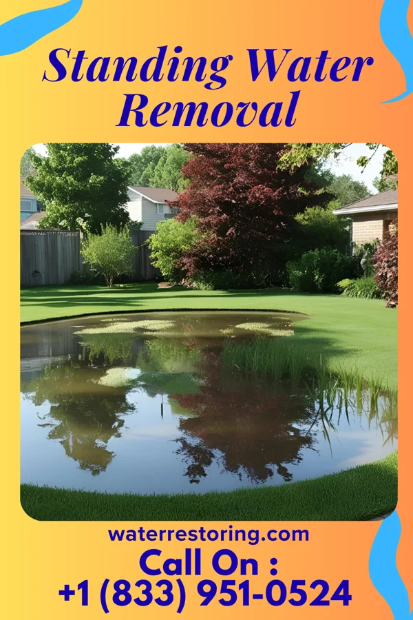 Standing Water Removal in Shadybrook, TX